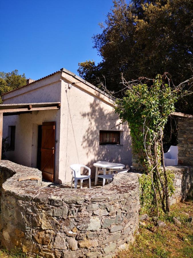 Campita Ξενοδοχείο Omessa Εξωτερικό φωτογραφία